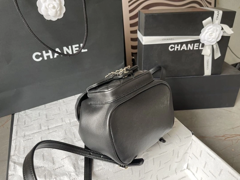 Chanel Backpacks 4224-1895