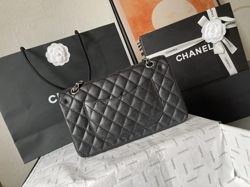 Chanel CF Series Bags 4224-1901