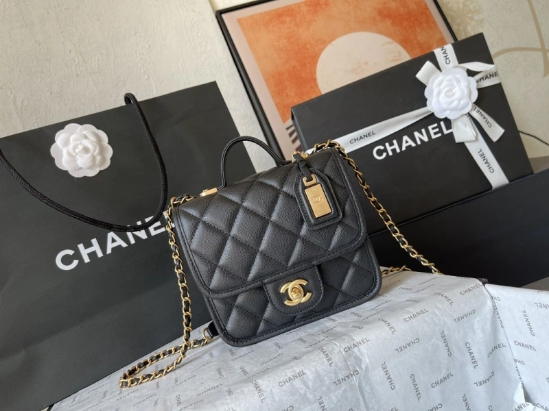 Chanel CF Series Bags 4224-1909