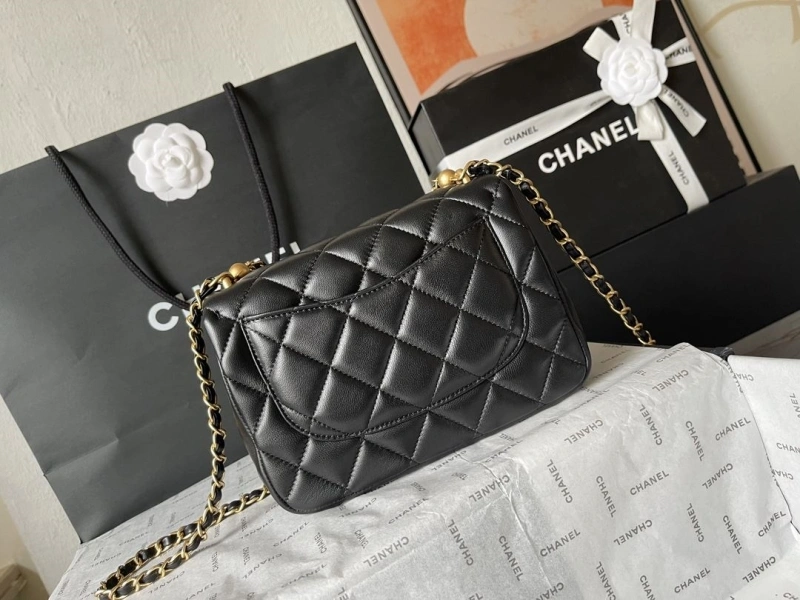 Chanel 19 Bags 4224-1926