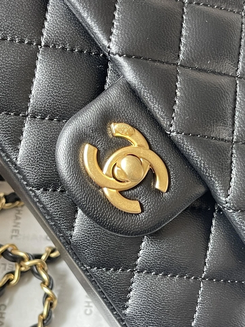 Chanel 19 Bags 4224-1927