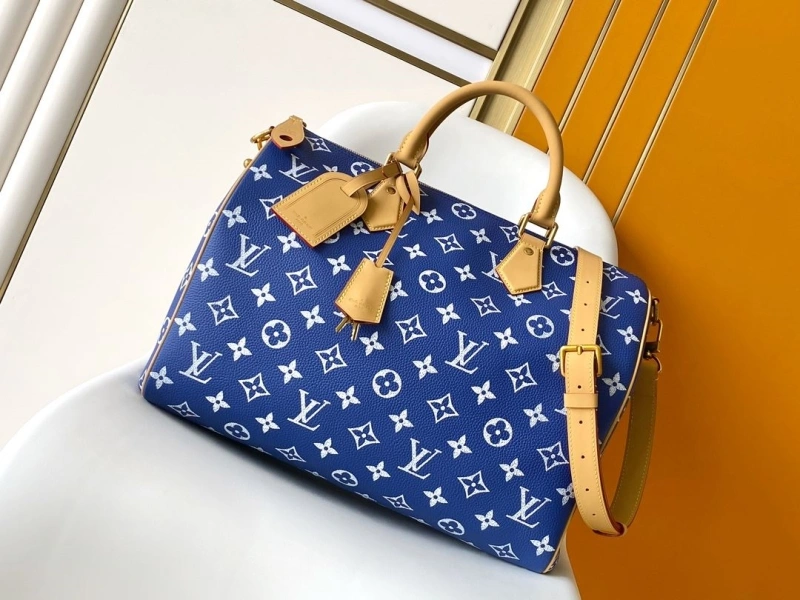 LV Travel Bags 4233A-0842