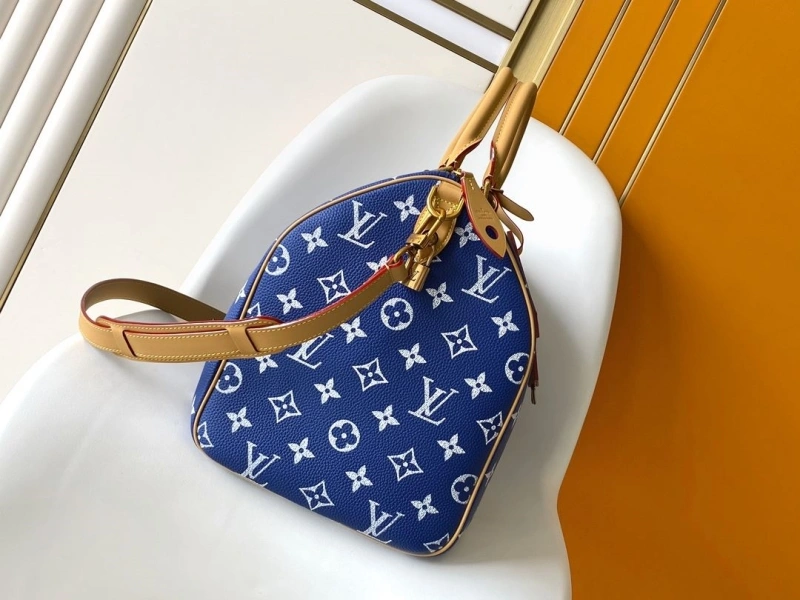 LV Travel Bags 4233A-0842