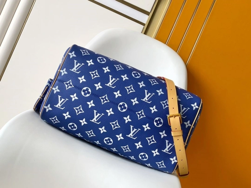 LV Travel Bags 4233A-0842