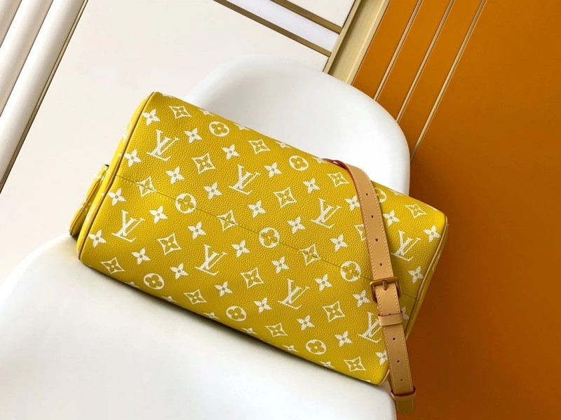 LV Travel Bags 4233A-1571
