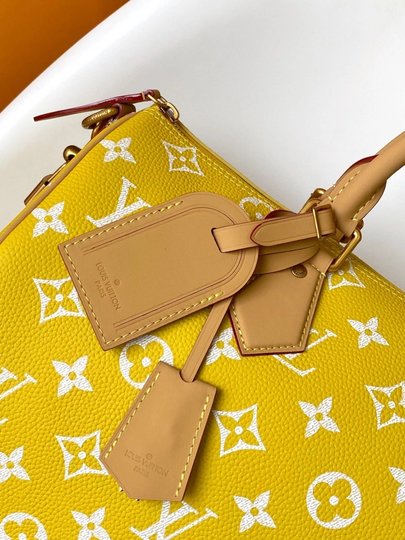 LV Travel Bags 4233A-1571