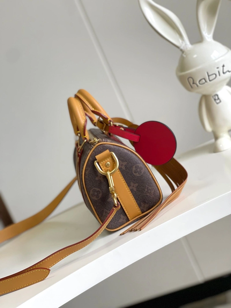 LV Speedy Bags 4233H-2110