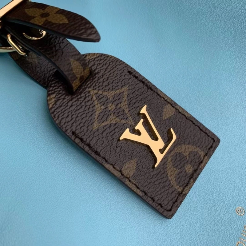 LV Shopping Bags 4233H-2184