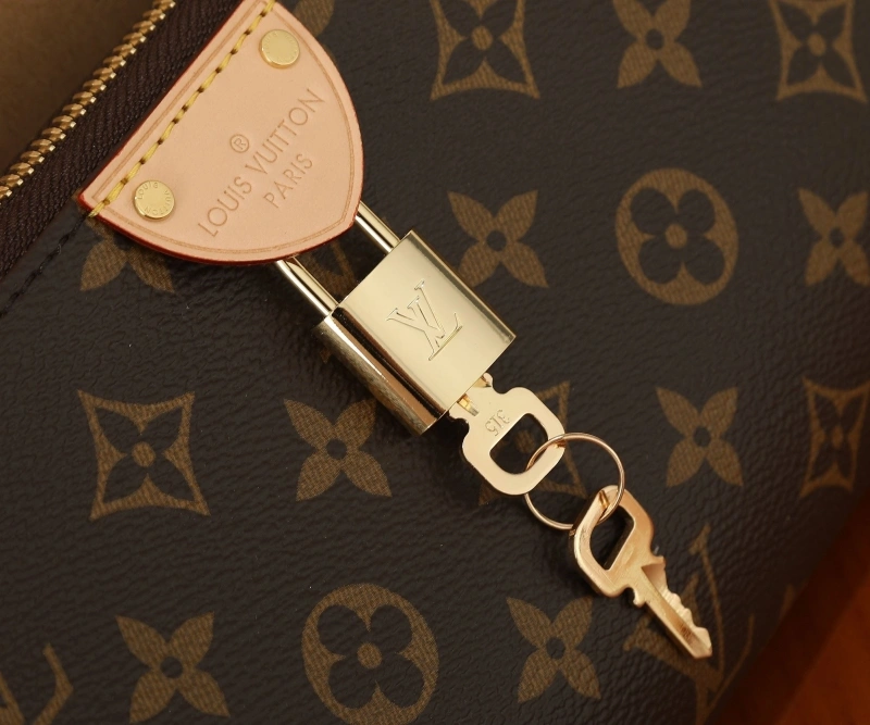 LV Satchel bags 4233H-2315