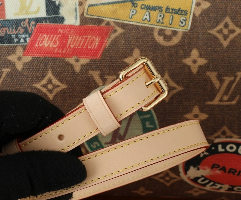 LV Speedy Bags 4233H-2336