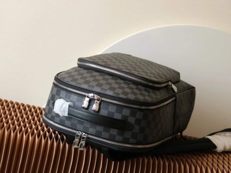 LV Backpacks 4233H-2454