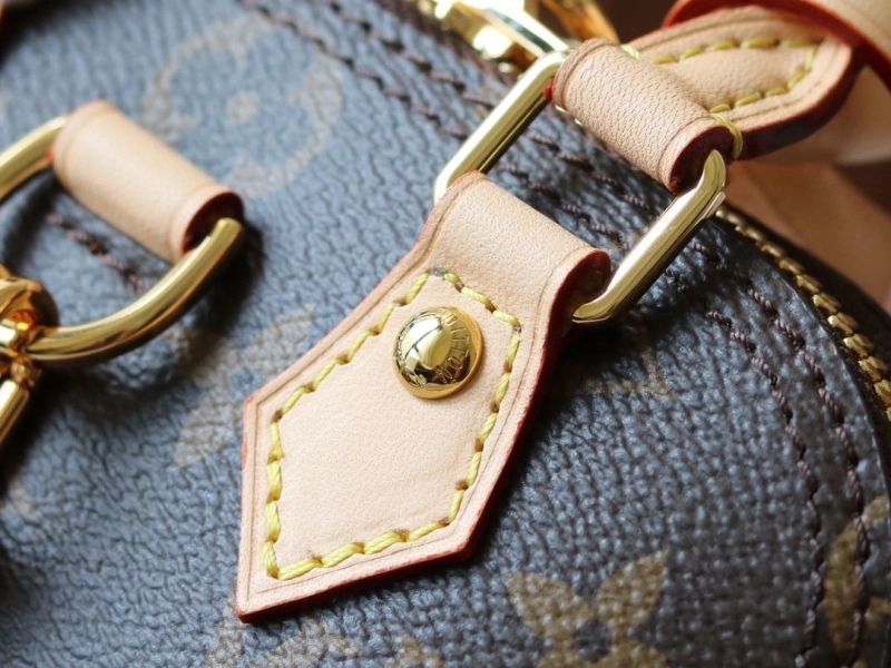 LV Backpacks 4233H-2527