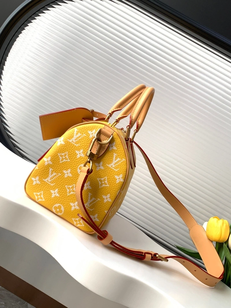 LV Speedy Bags 4233H-2566