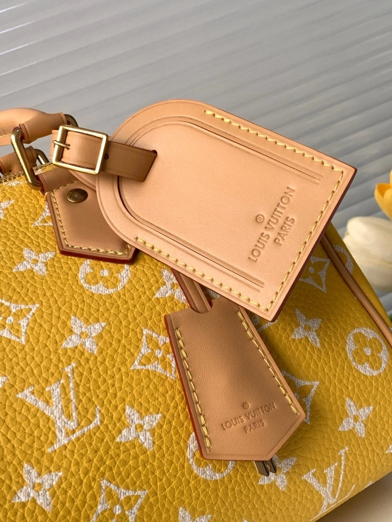 LV Speedy Bags 4233H-2566