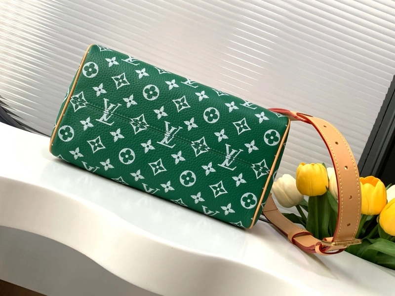 LV Speedy Bags 4233H-2567