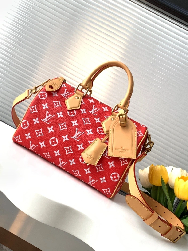 LV Speedy Bags 4233H-2569