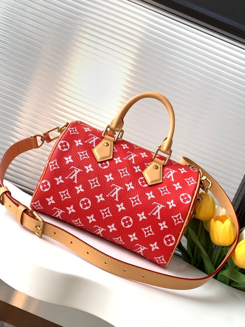 LV Speedy Bags 4233H-2569
