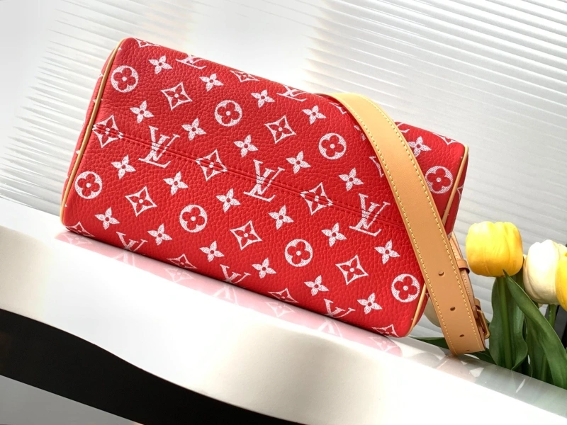 LV Speedy Bags 4233H-2569