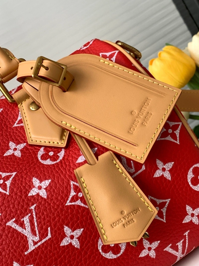 LV Speedy Bags 4233H-2569