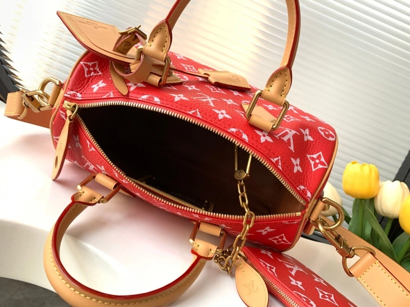 LV Speedy Bags 4233H-2569