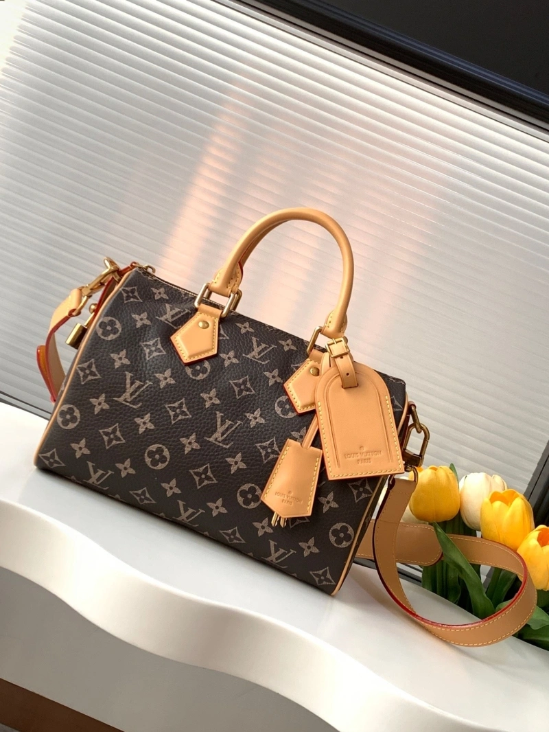 LV Speedy Bags 4233H-2570