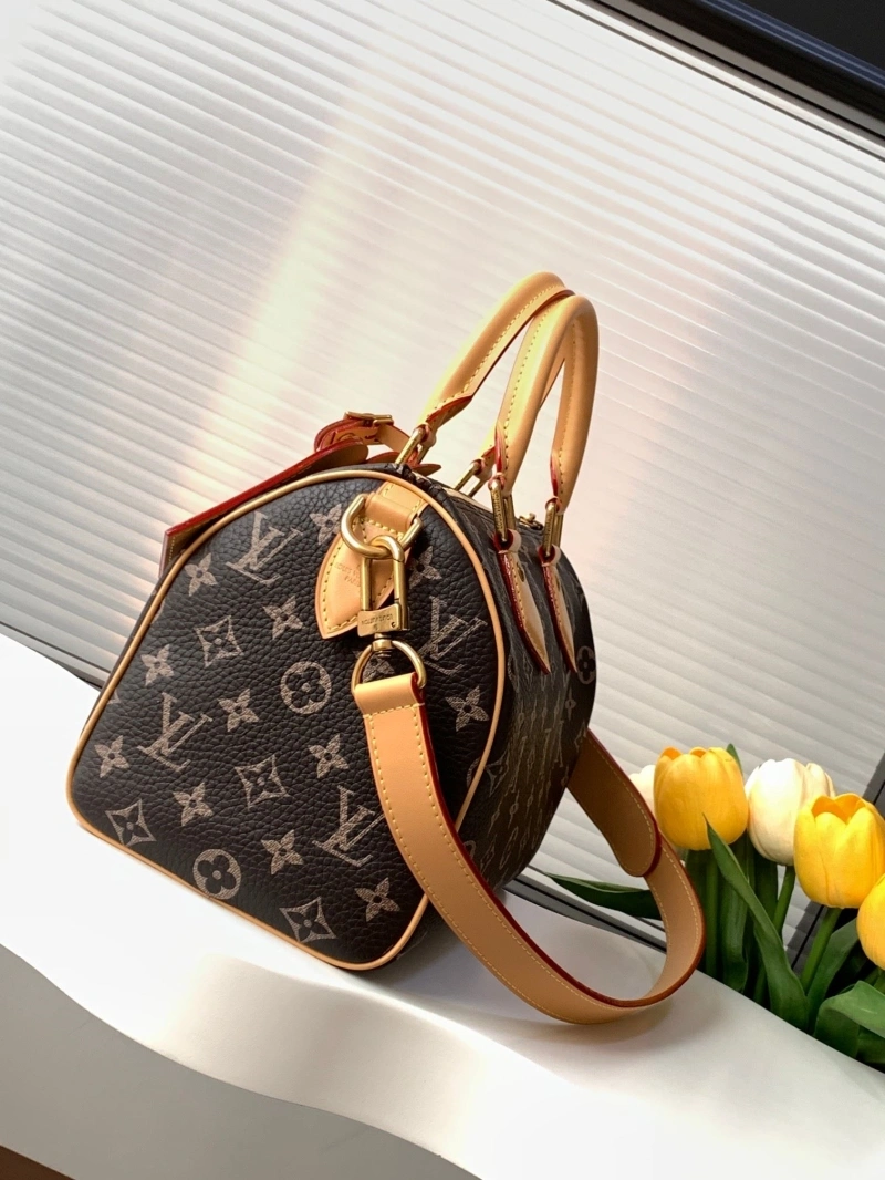 LV Speedy Bags 4233H-2570