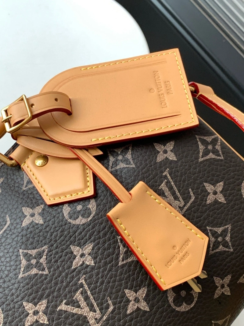LV Speedy Bags 4233H-2570