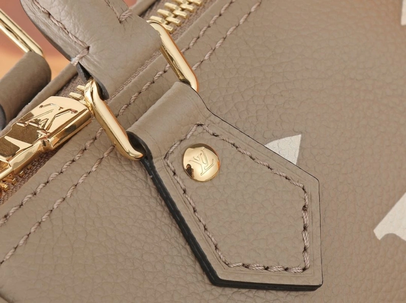 LV Speedy Bags 4233H-2573