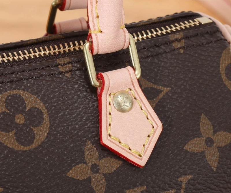 LV Speedy Bags 4233H-2580
