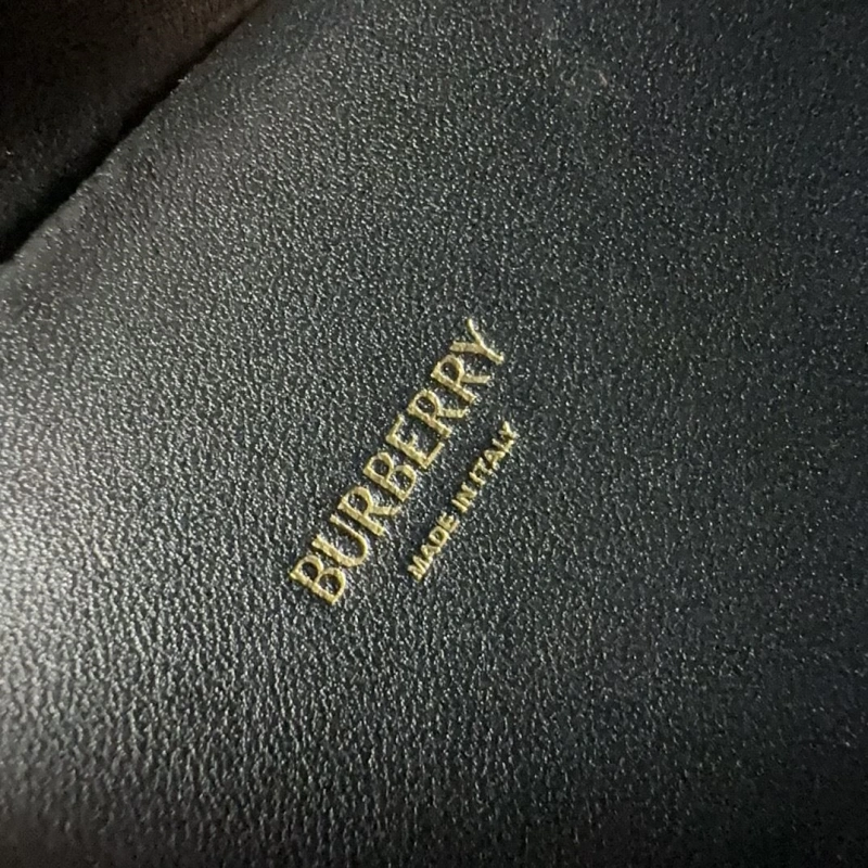Burberry Satchel Bags 4237H-0015