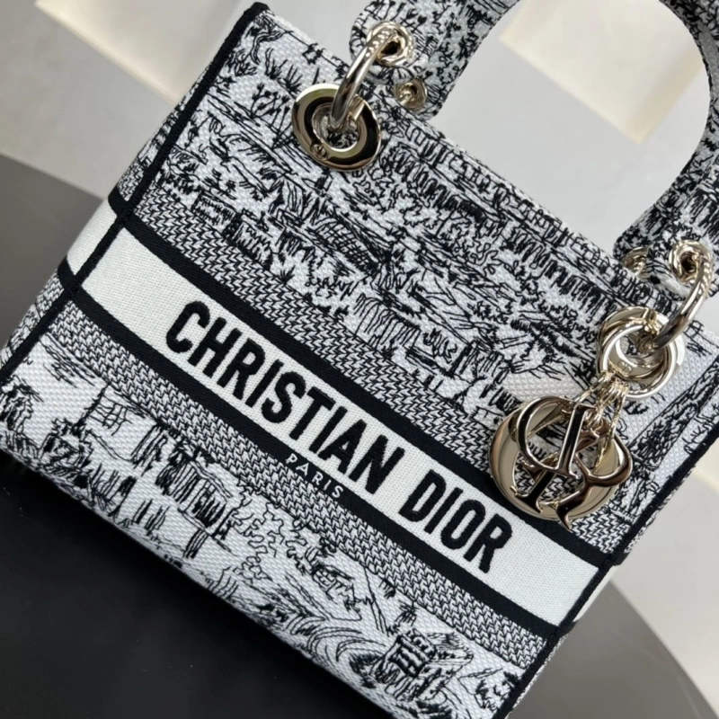 Dior Shopping Bags 4250I-0138