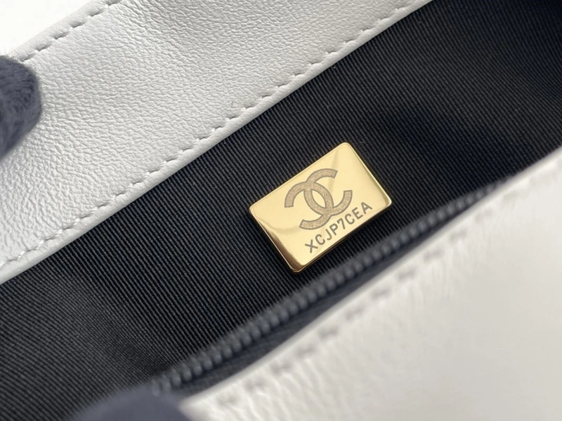 Chanel 19 Bags 4345D-0068