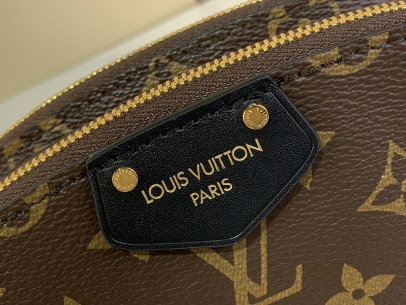 LV Satchel bags 4365A-0244