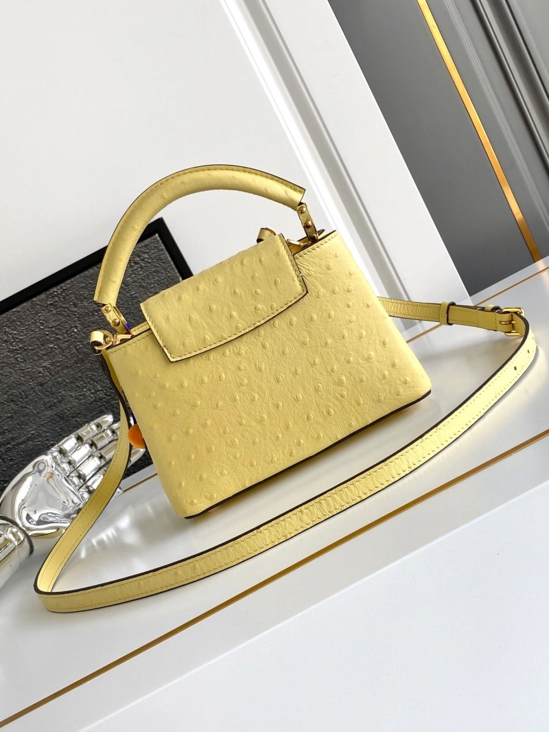 LV Capucines Bags 4365A-0282