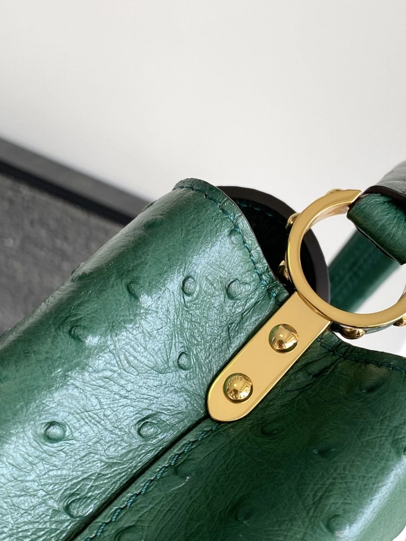 LV Capucines Bags 4365A-0284