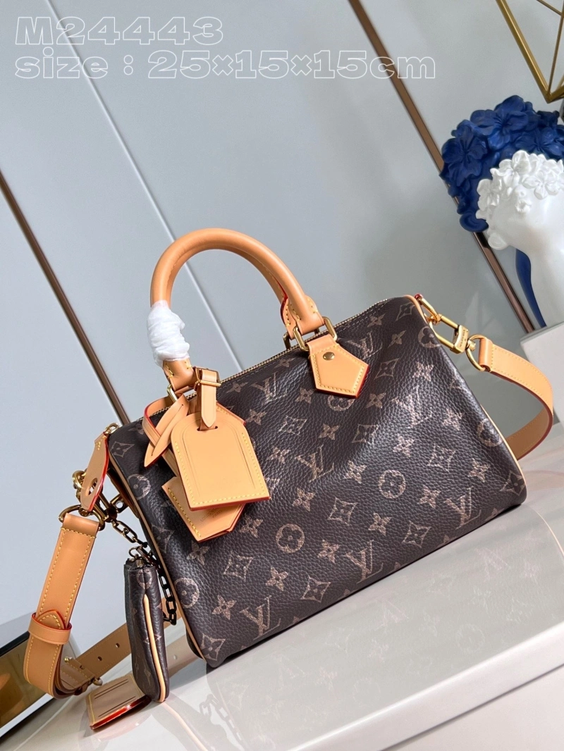 LV Speedy Bags 4365G-0041