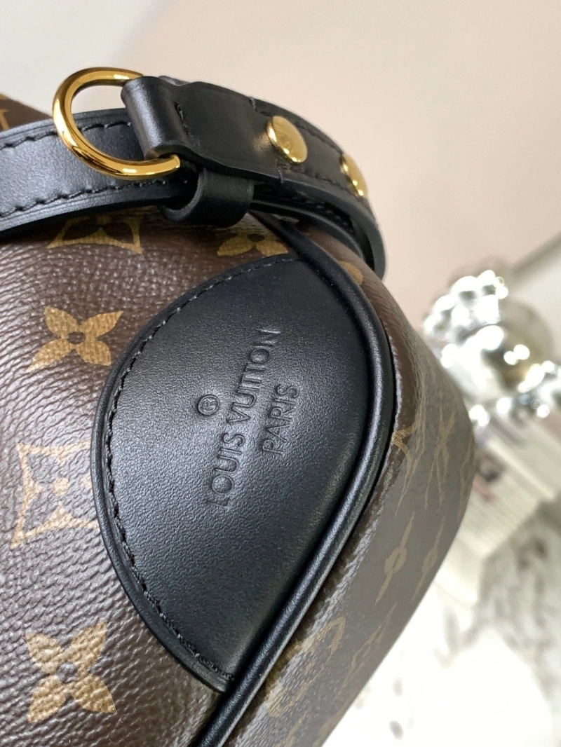 LV Satchel Bags 4365H-0651