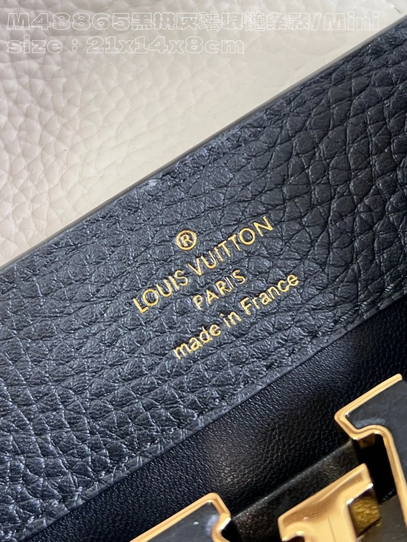 LV Capucines Bags 4365I-0655